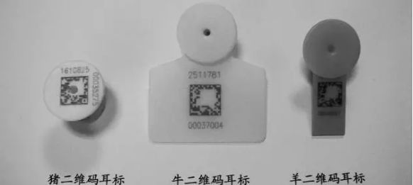 动物耳标香蕉视频你懂的打标机在“放开我北鼻”，的出色表现