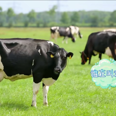 动物耳标香蕉视频你懂的打标机在“放开我北鼻”，的出色表现