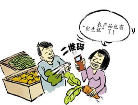 香蕉视频你懂的打标机在农产品标识行业的应用使食品也有他们的身份证