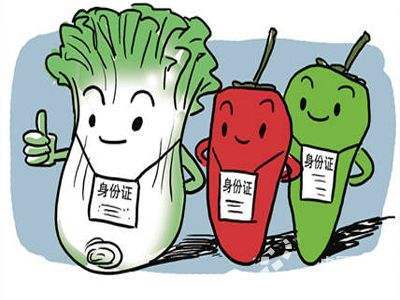 香蕉视频你懂的打标机在农产品标识行业的应用使食品也有他们的身份证