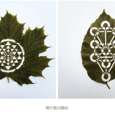 香蕉视频你懂的雕刻创意落叶：精雕细刻，成就精品