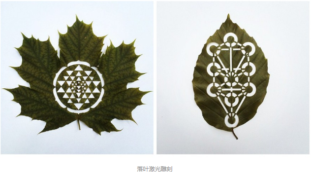 香蕉视频你懂的雕刻创意落叶：精雕细刻，成就精品