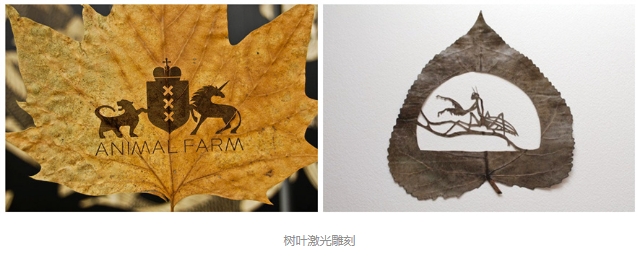 香蕉视频你懂的雕刻创意落叶：精雕细刻，成就精品