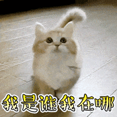 有了香蕉视频你懂的切割引导标志，妈妈再也不用担心我迷路了